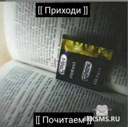 38338