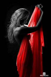55938